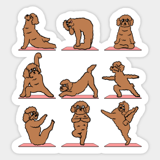 Goldendoodle Yoga Sticker